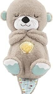 fisher-price-nutria-hora